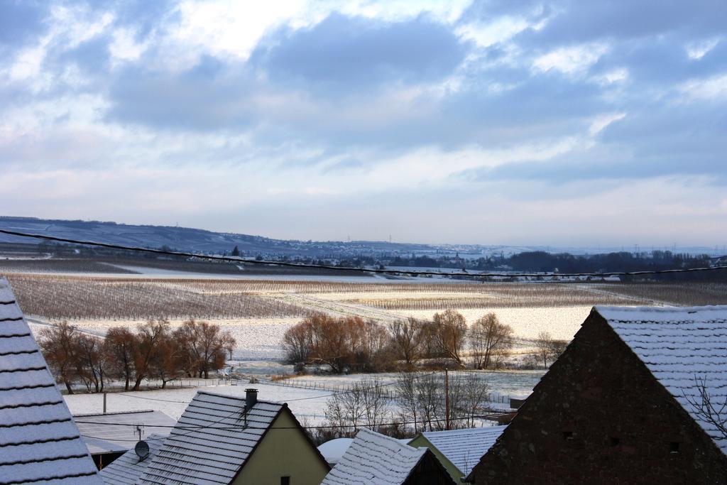 Gites Des Dix Vins Dangolsheim Buitenkant foto