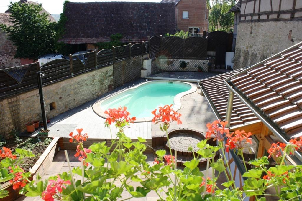 Gites Des Dix Vins Dangolsheim Buitenkant foto